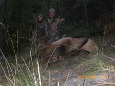 New Mexico Elk Hunt
